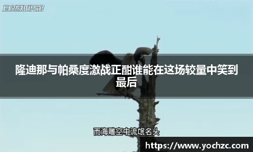隆迪那与帕桑度激战正酣谁能在这场较量中笑到最后